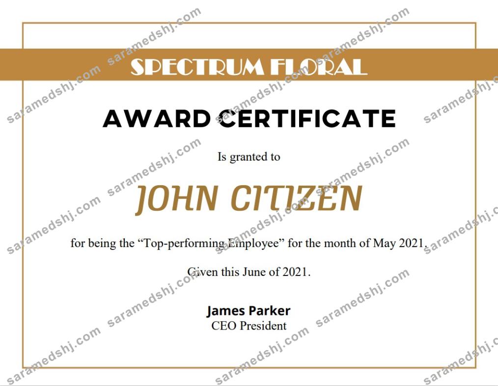 USA Award Certificate